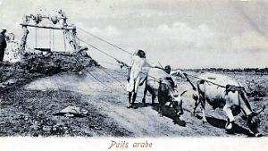 Puits typiques d'AFN - 106